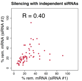 Silencing with independent siRNAs