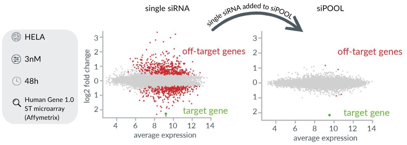 Reduced number of off-target genes
