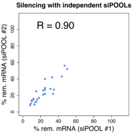 Silencing with independent siPOOLs