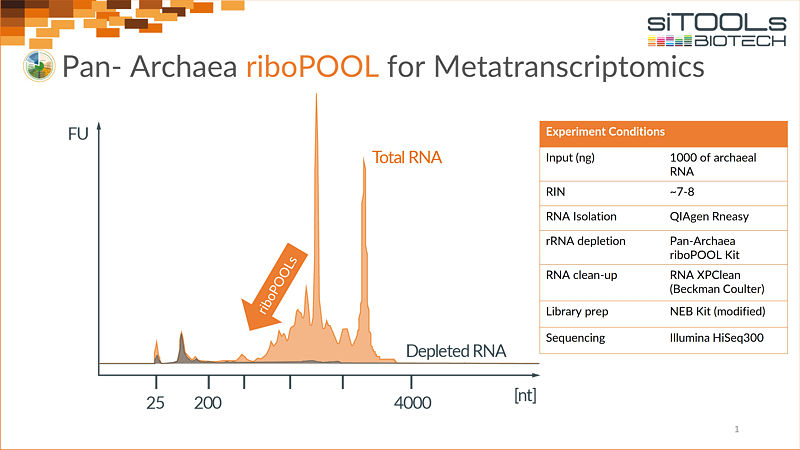 Pan-Archaea riboPOOL for Metatranscriptomics