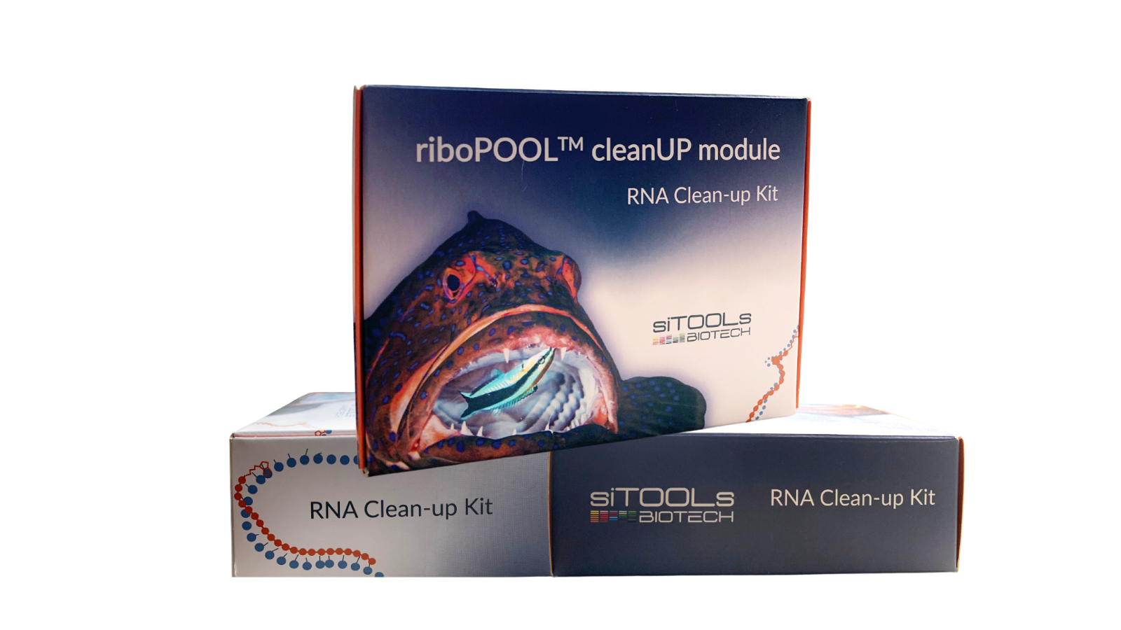 riboPOOL cleanUP module