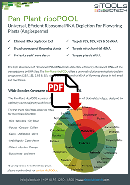 RNA Depletion for Flowering Plants Brochure (PDF)