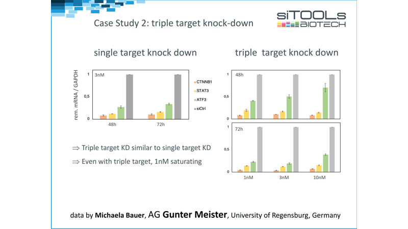 siPOOL Case Study 2: Triple Target Knock-down