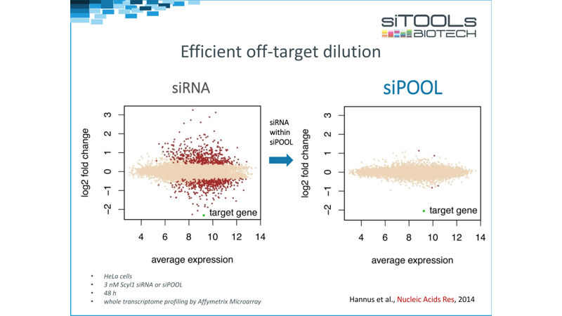 siPOOLs Efficient Off-Target Dilution