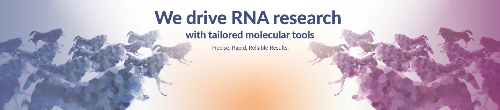 We drive RNA Research with Advanced Molecular Tools
