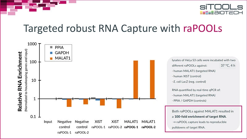 Targeted Robust RNA Capture with raPOOLs