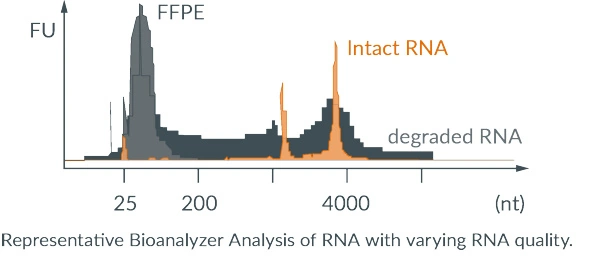 Representative Bioanalyzer Analysis of RNA with varying RNA Quality