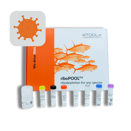 SARS-CoV-2 RNA riboPOOL