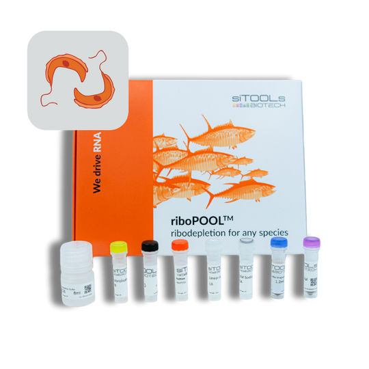 Trypanosoma brucei Ribo-Seq riboPOOL