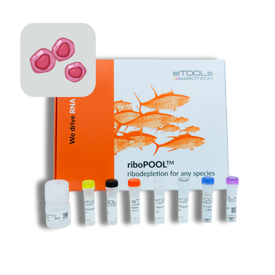 Pan-Chlamydia riboPOOL