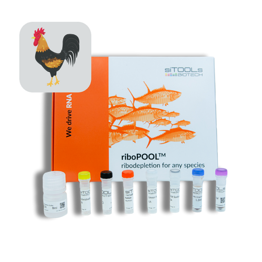 Gallus gallus domesticus riboPOOL