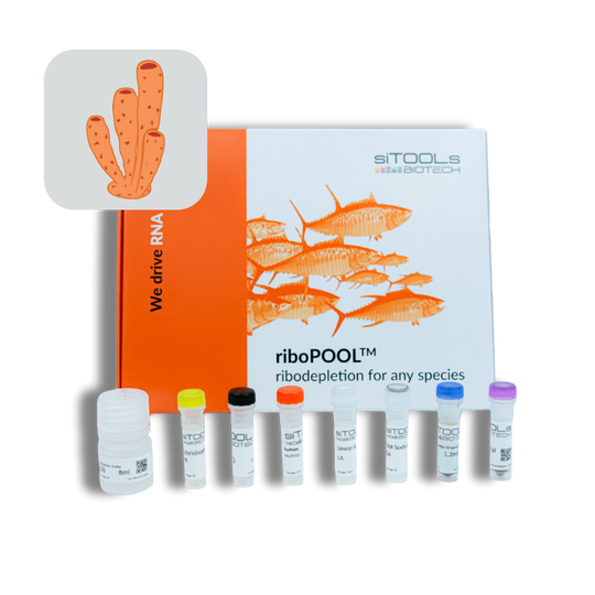 Pan-Sponge riboPOOL