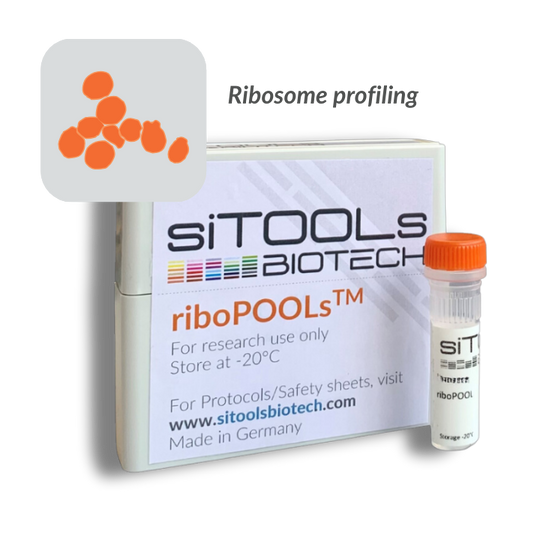 Saccharomyces cerevisiae Ribo-Seq riboPOOL
