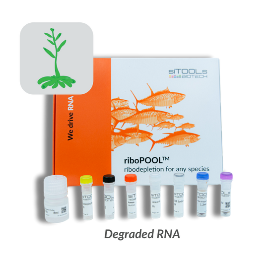 Arabidopsis thaliana intact and degraded RNA riboPOOL